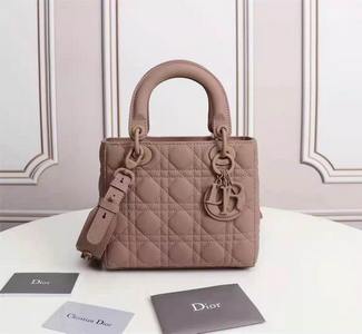 DIOR Handbags 426